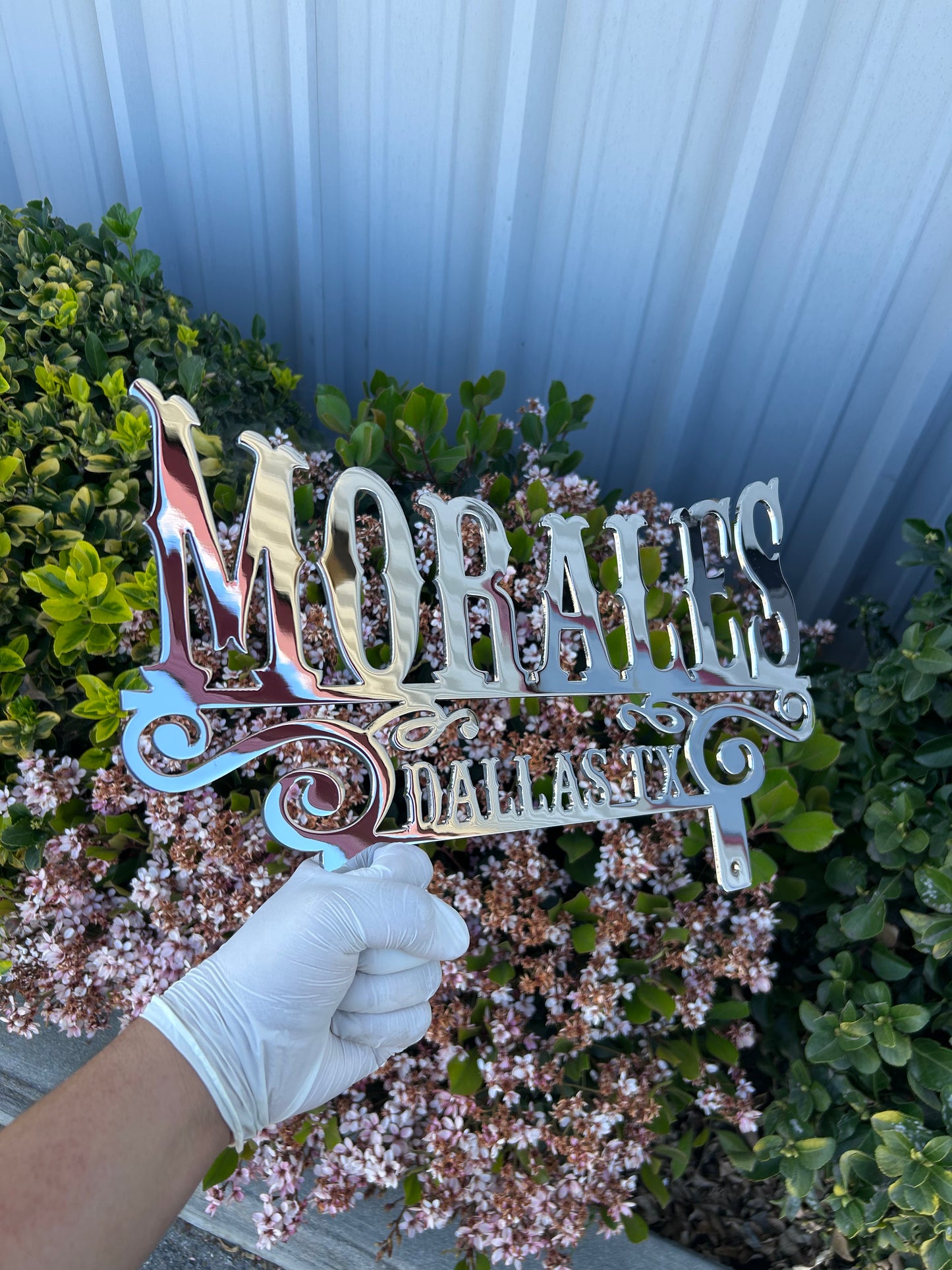 10 Ga Chrome Plated Car Plaque
